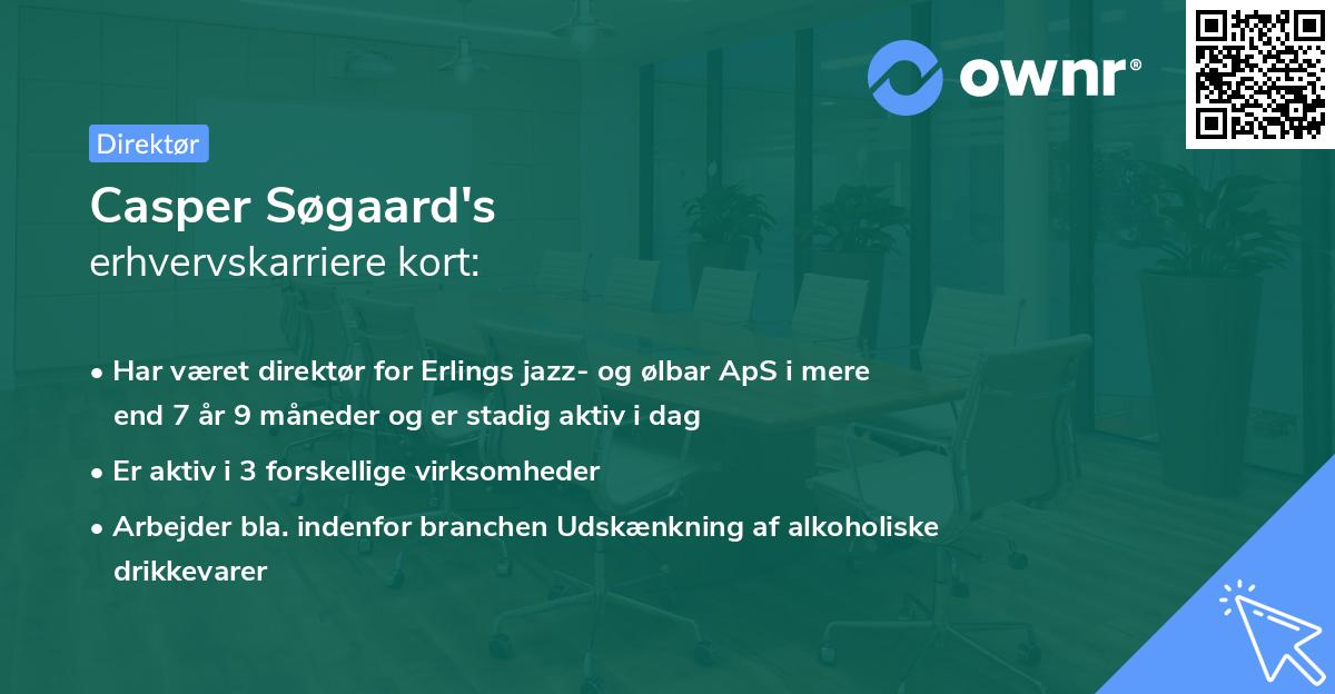 Casper Søgaard's erhvervskarriere kort