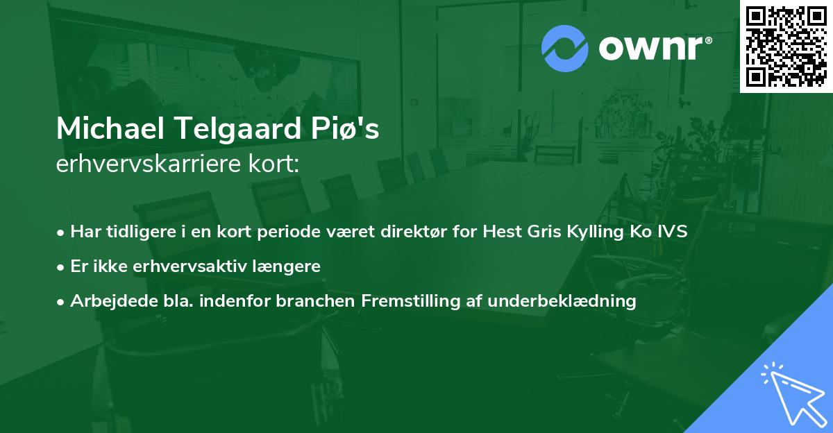 Michael Telgaard Piø's erhvervskarriere kort