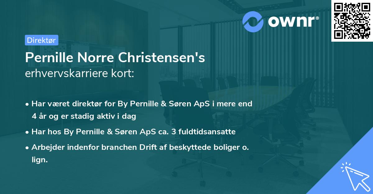 Pernille Norre Christensen's erhvervskarriere kort