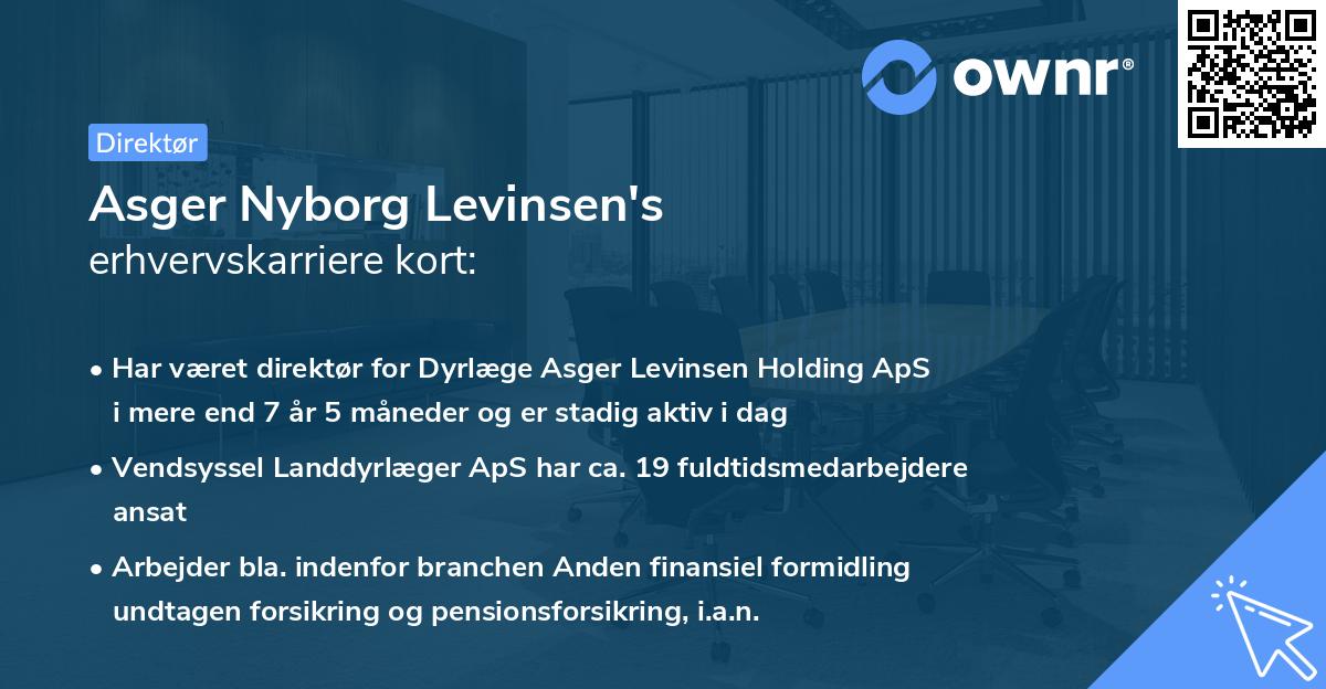 Asger Nyborg Levinsen's erhvervskarriere kort