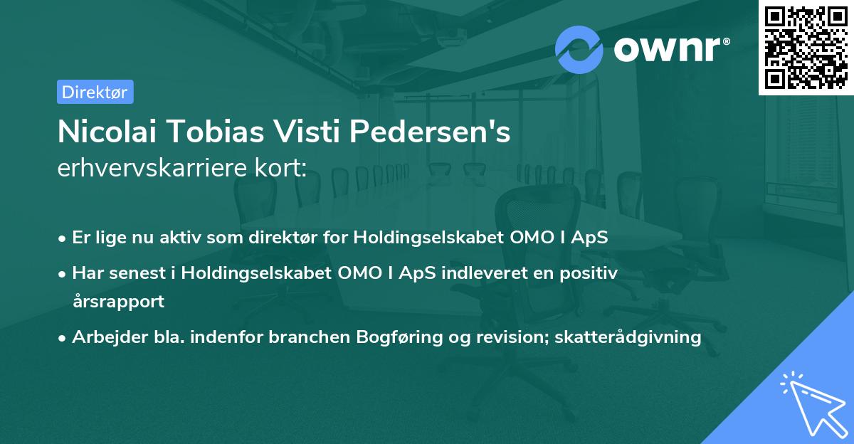 Nicolai Tobias Visti Pedersen's erhvervskarriere kort