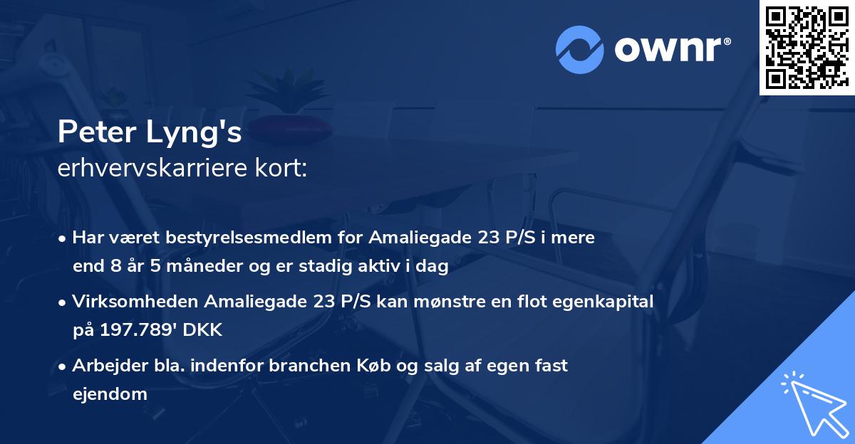 Peter Lyng's erhvervskarriere kort
