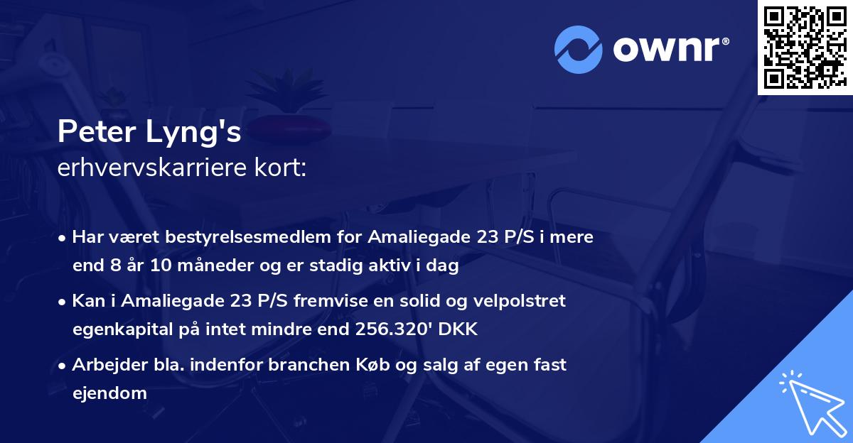 Peter Lyng's erhvervskarriere kort