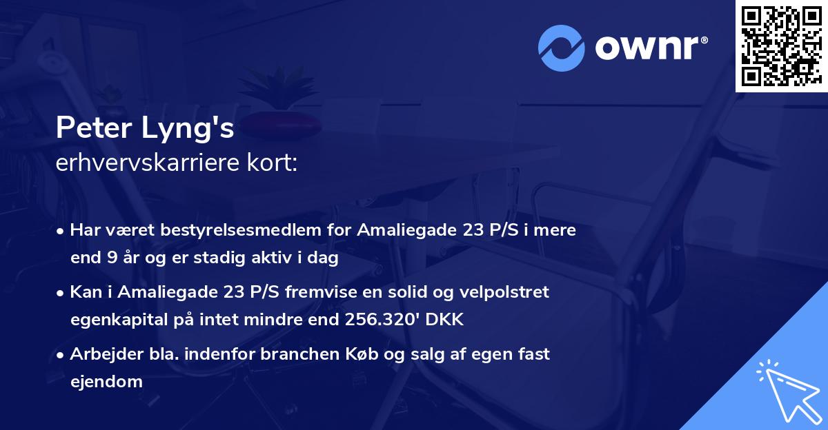 Peter Lyng's erhvervskarriere kort