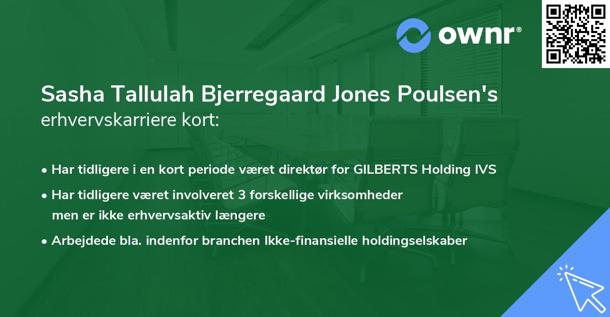 Sasha Tallulah Bjerregaard Jones Poulsen's erhvervskarriere kort