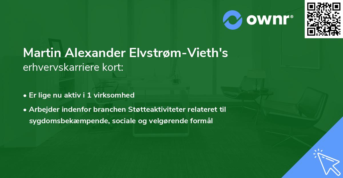 Martin Alexander Elvstrøm-Vieth's erhvervskarriere kort