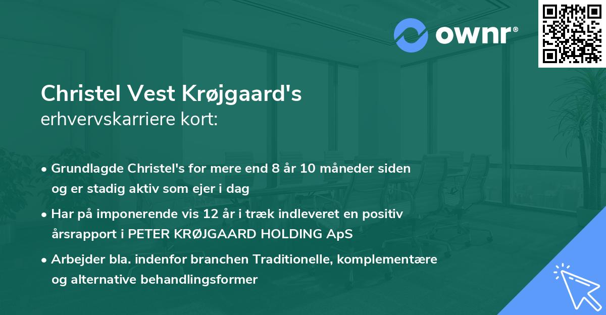 Christel Vest Krøjgaard's erhvervskarriere kort