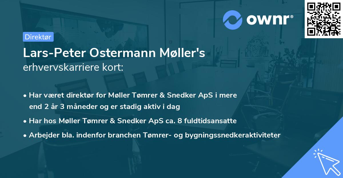Lars-Peter Ostermann Møller's erhvervskarriere kort