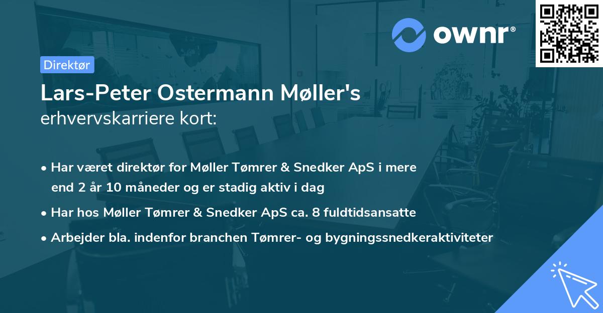 Lars-Peter Ostermann Møller's erhvervskarriere kort