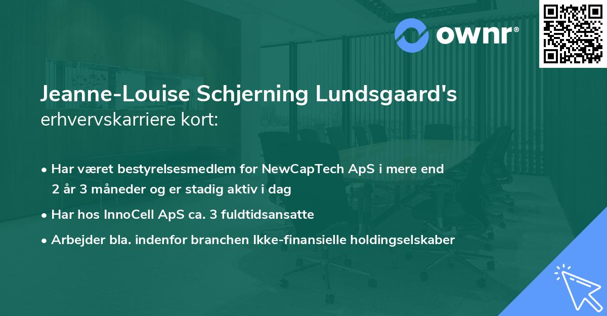 Jeanne-Louise Schjerning Lundsgaard's erhvervskarriere kort