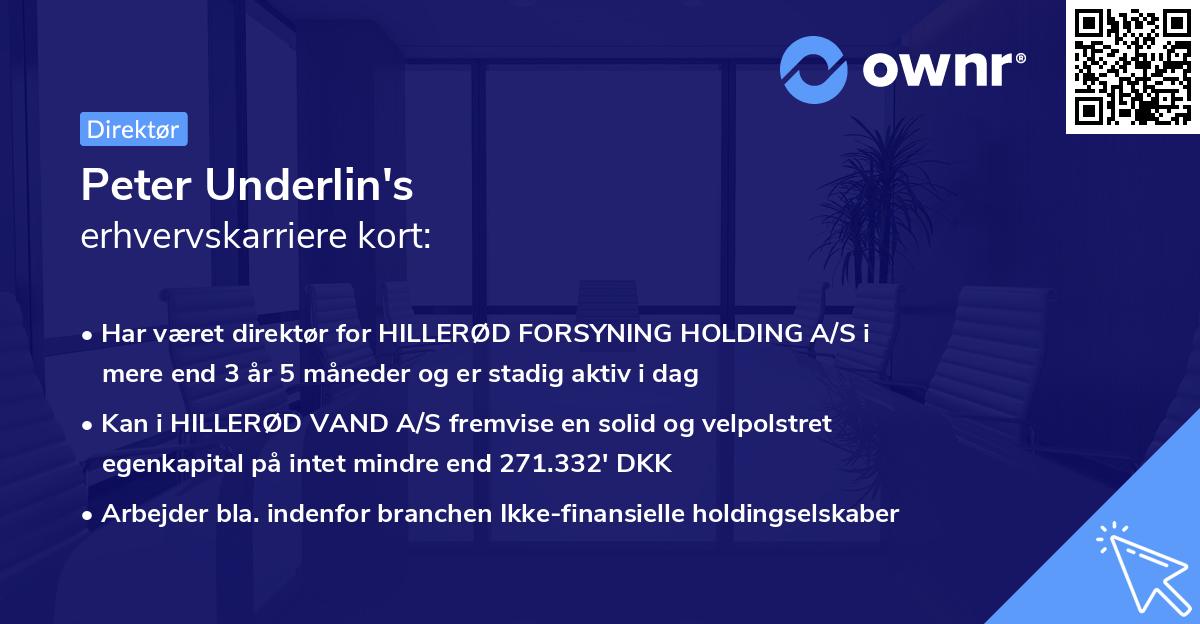 Peter Underlin's erhvervskarriere kort