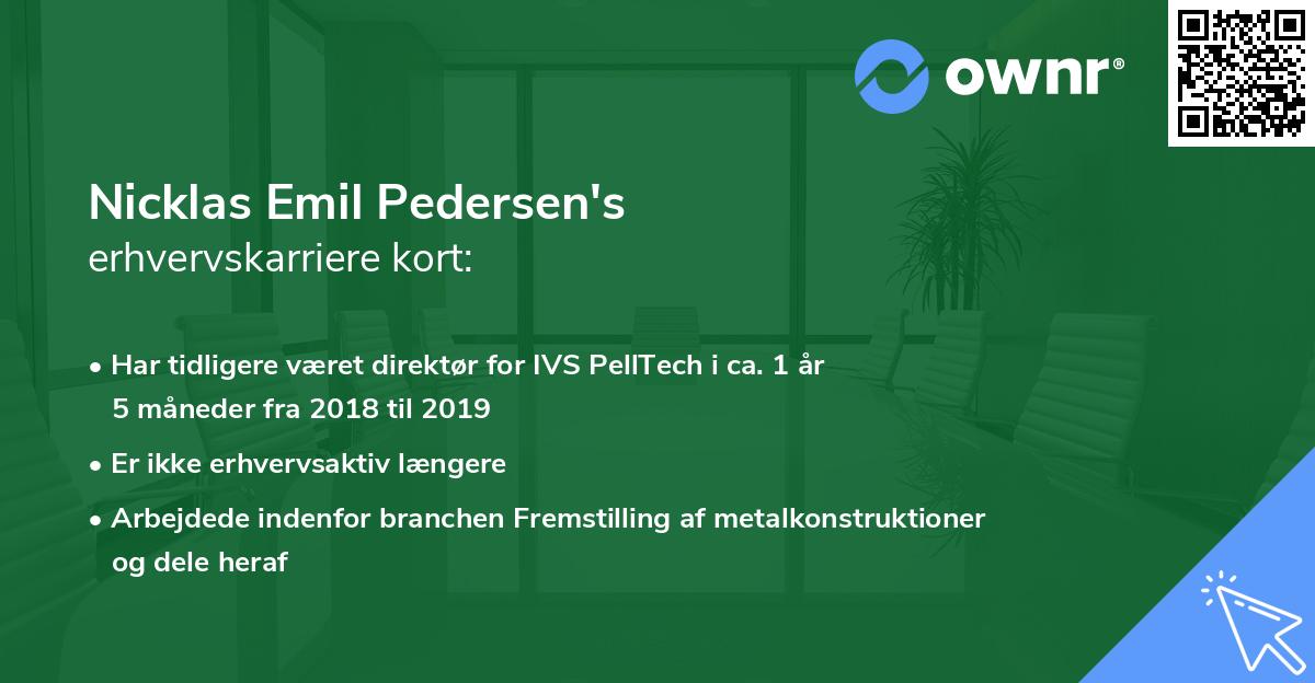 Nicklas Emil Pedersen's erhvervskarriere kort