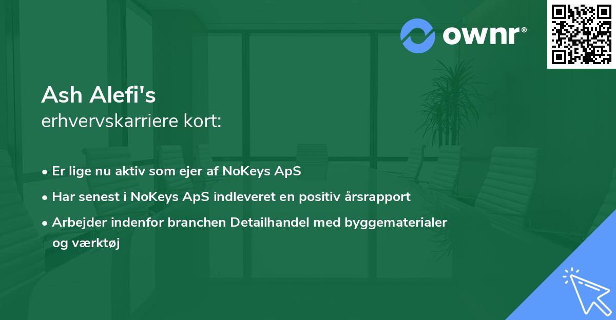 Ash Alefi's erhvervskarriere kort