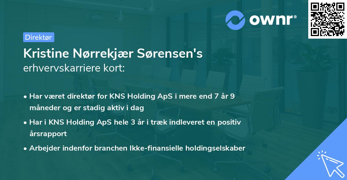 Kristine Nørrekjær Sørensen's erhvervskarriere kort