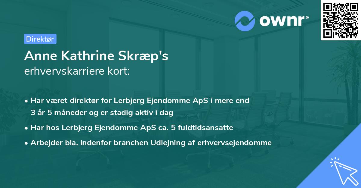 Anne Kathrine Skræp's erhvervskarriere kort