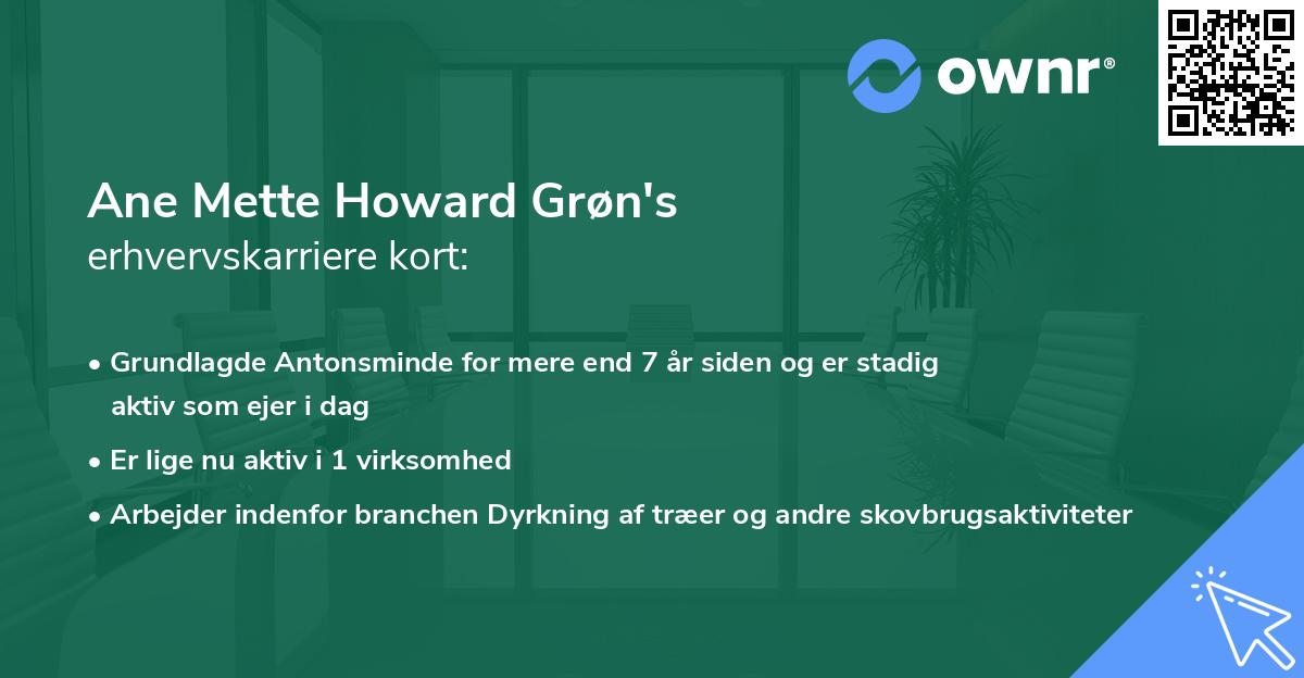 Ane Mette Howard Grøn's erhvervskarriere kort