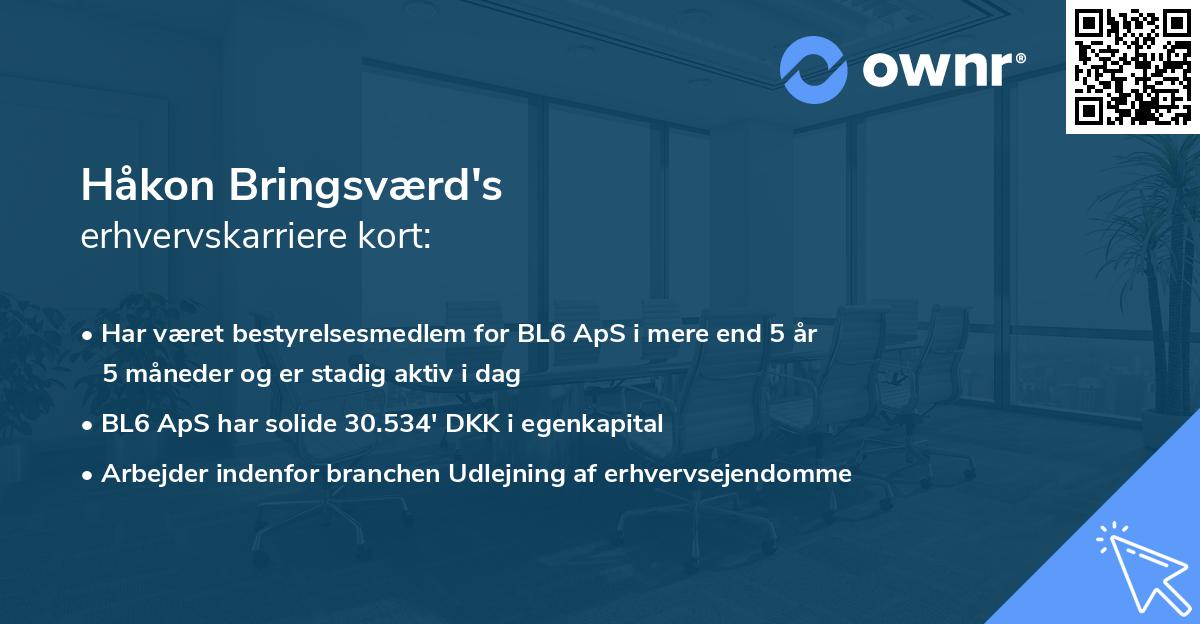 Håkon Bringsværd's erhvervskarriere kort