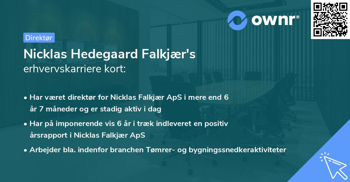 Nicklas Hedegaard Falkjær's erhvervskarriere kort