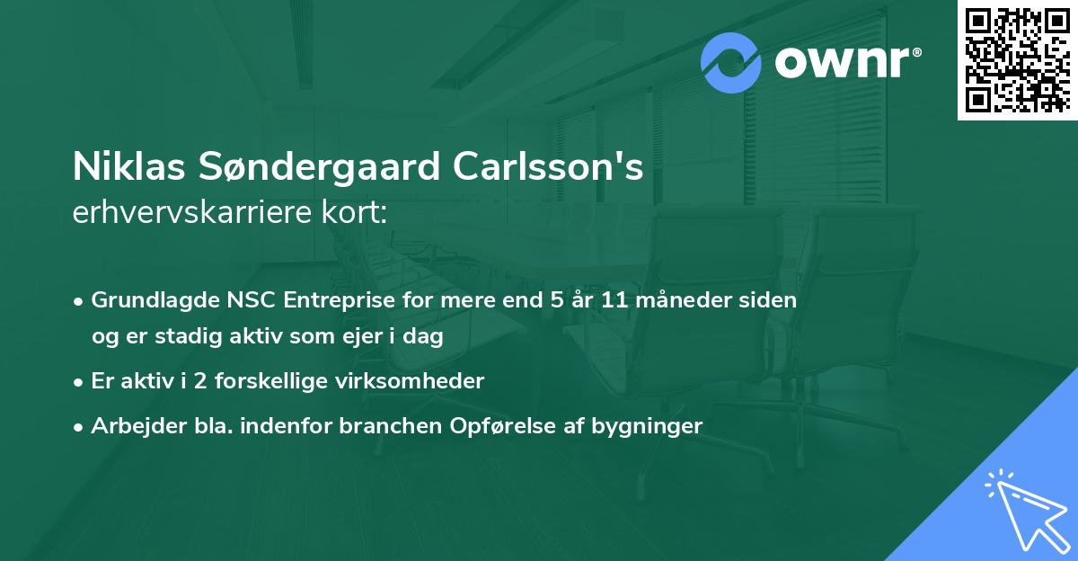 Niklas Søndergaard Carlsson's erhvervskarriere kort