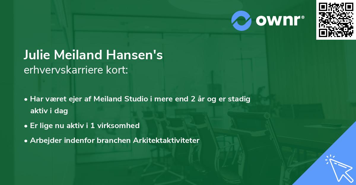Julie Meiland Hansen's erhvervskarriere kort