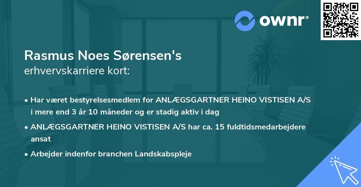 Rasmus Noes Sørensen's erhvervskarriere kort