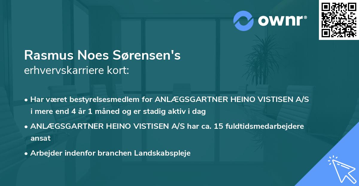 Rasmus Noes Sørensen's erhvervskarriere kort