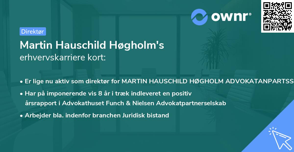Martin Hauschild Høgholm's erhvervskarriere kort