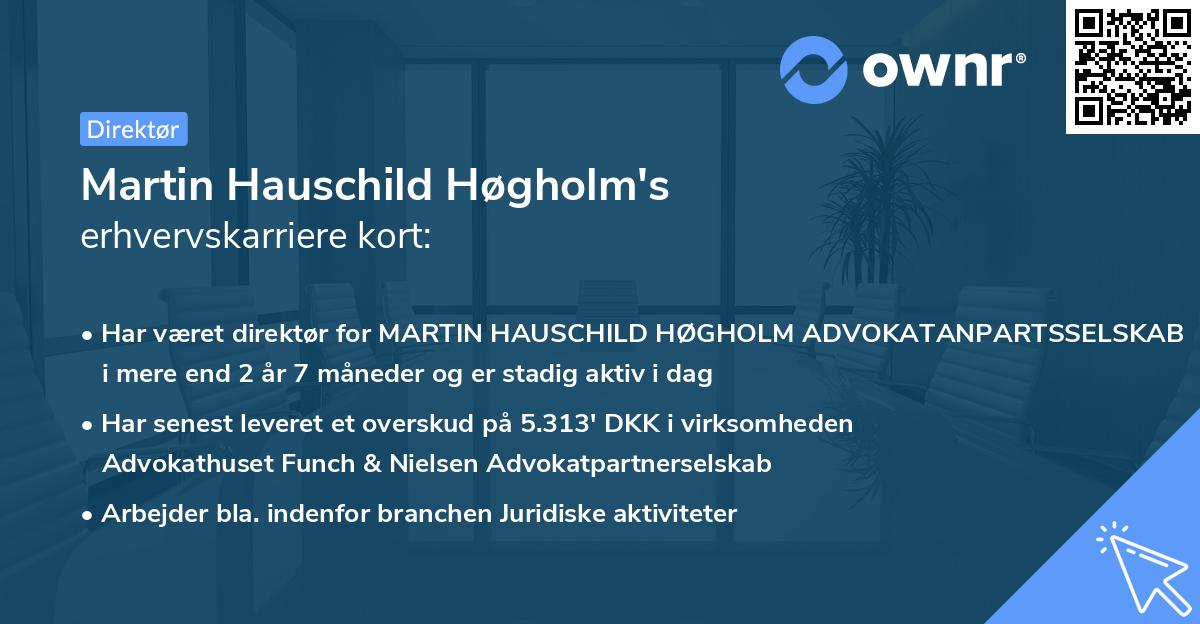 Martin Hauschild Høgholm's erhvervskarriere kort