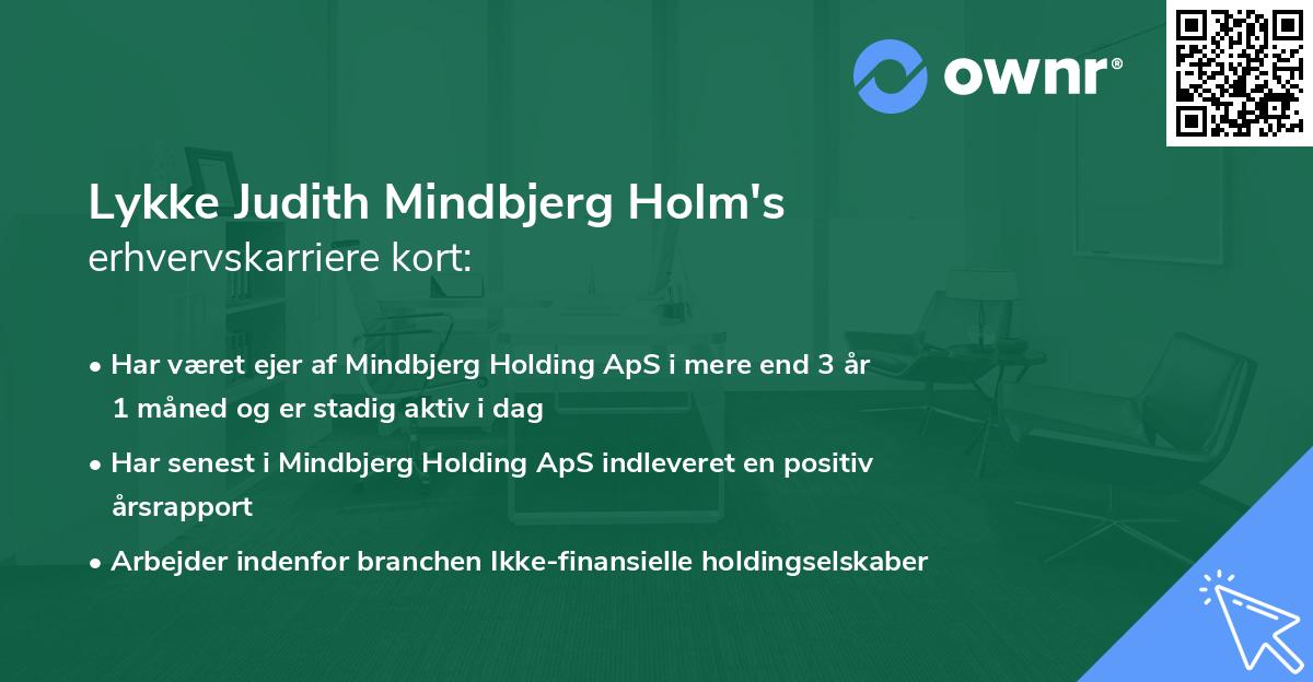 Lykke Judith Mindbjerg Holm's erhvervskarriere kort