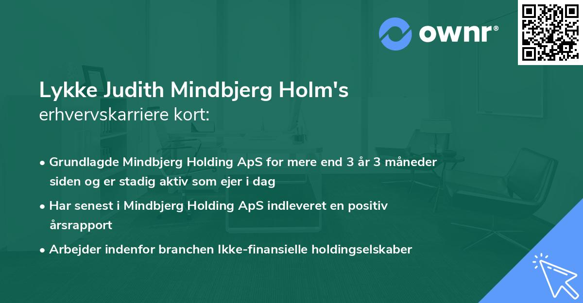 Lykke Judith Mindbjerg Holm's erhvervskarriere kort