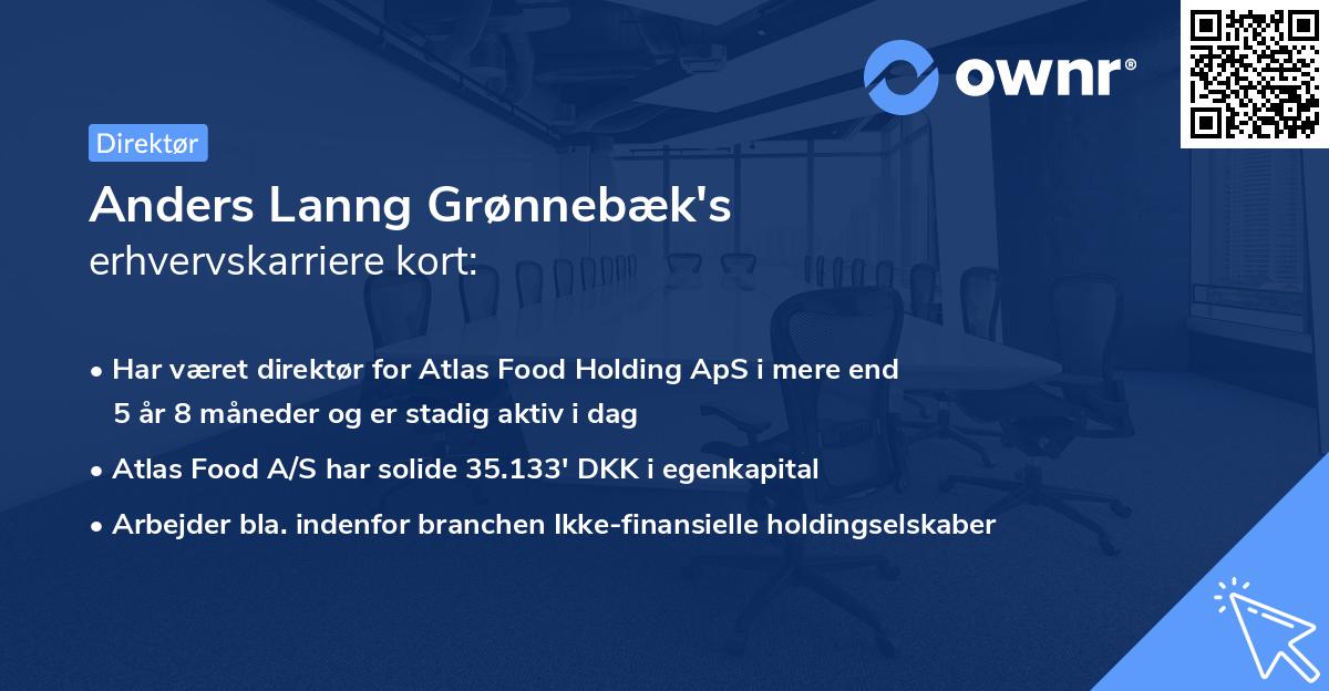 Anders Lanng Grønnebæk's erhvervskarriere kort