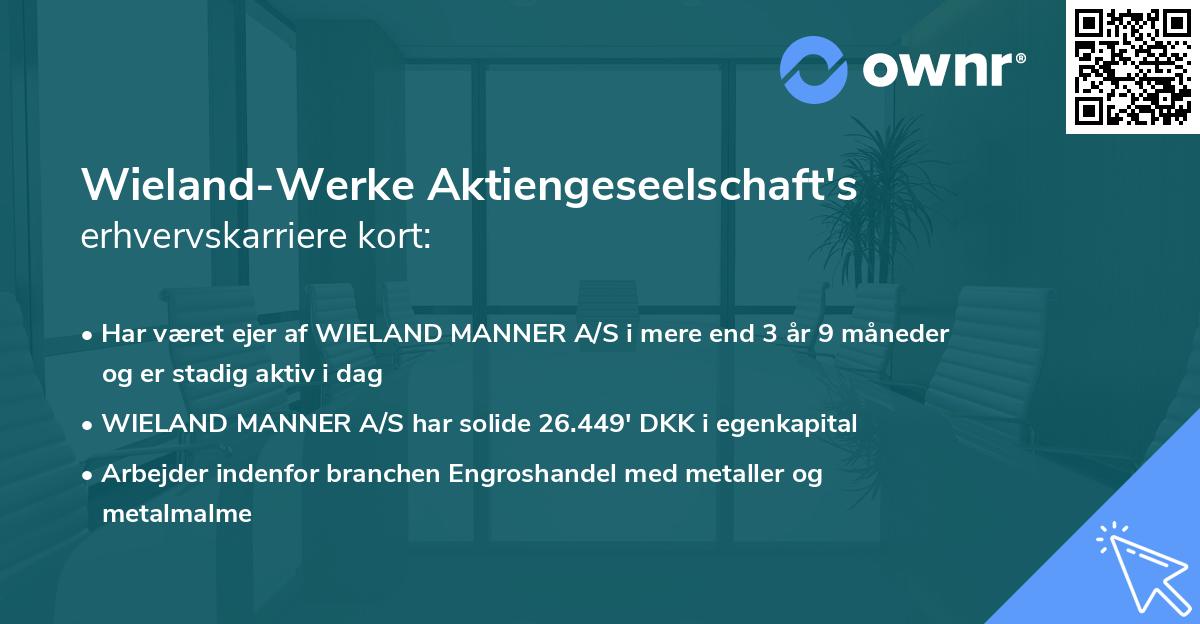 Wieland-Werke Aktiengeseelschaft's erhvervskarriere kort