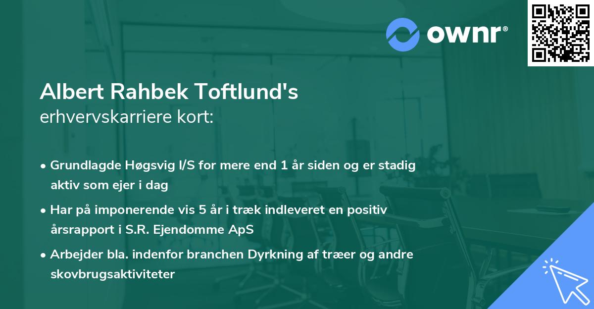 Albert Rahbek Toftlund's erhvervskarriere kort