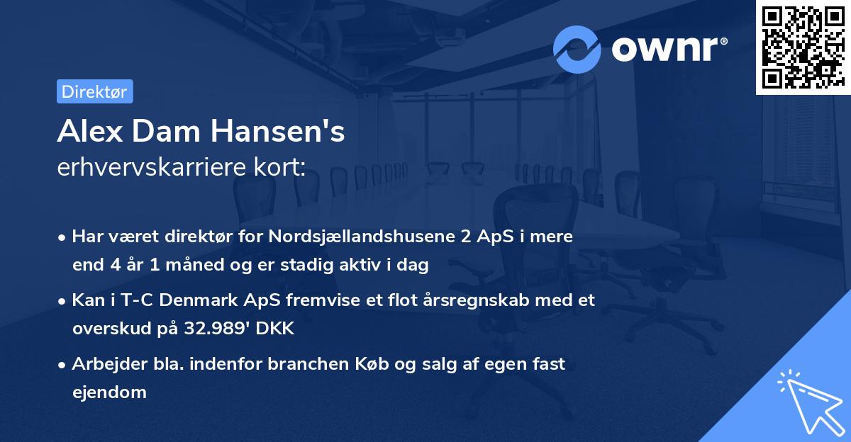 Alex Dam Hansen's erhvervskarriere kort