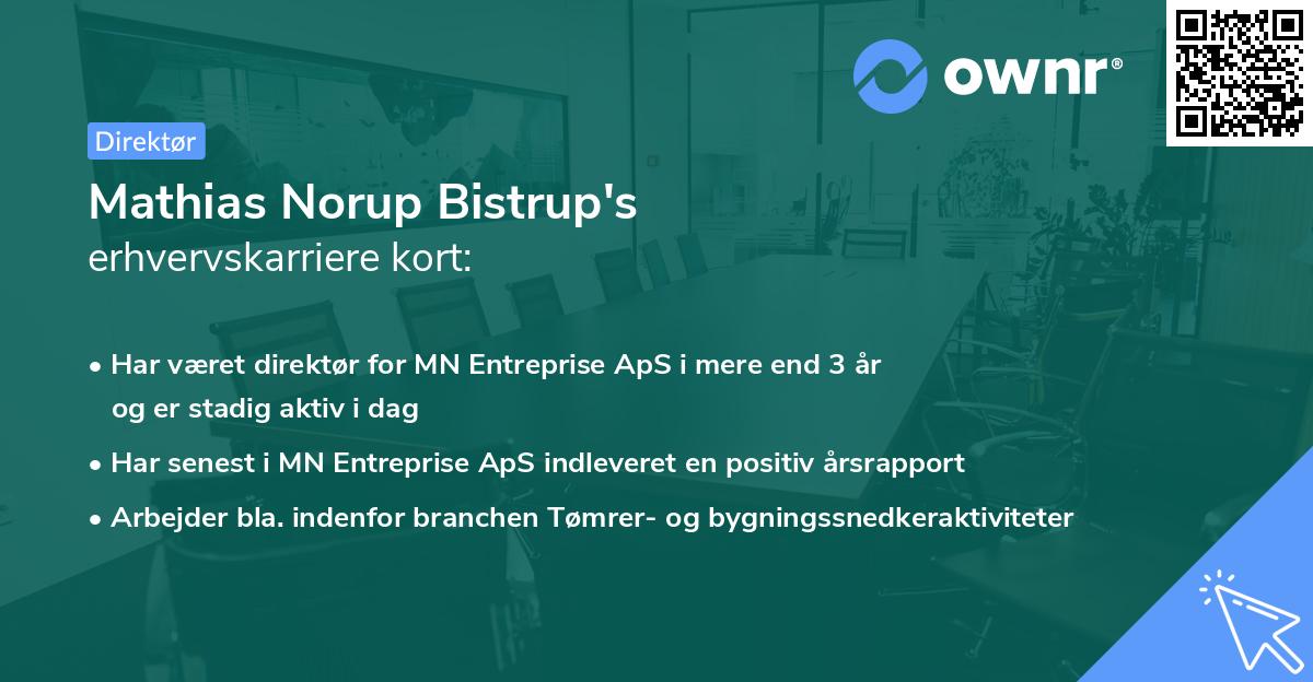 Mathias Norup Bistrup's erhvervskarriere kort