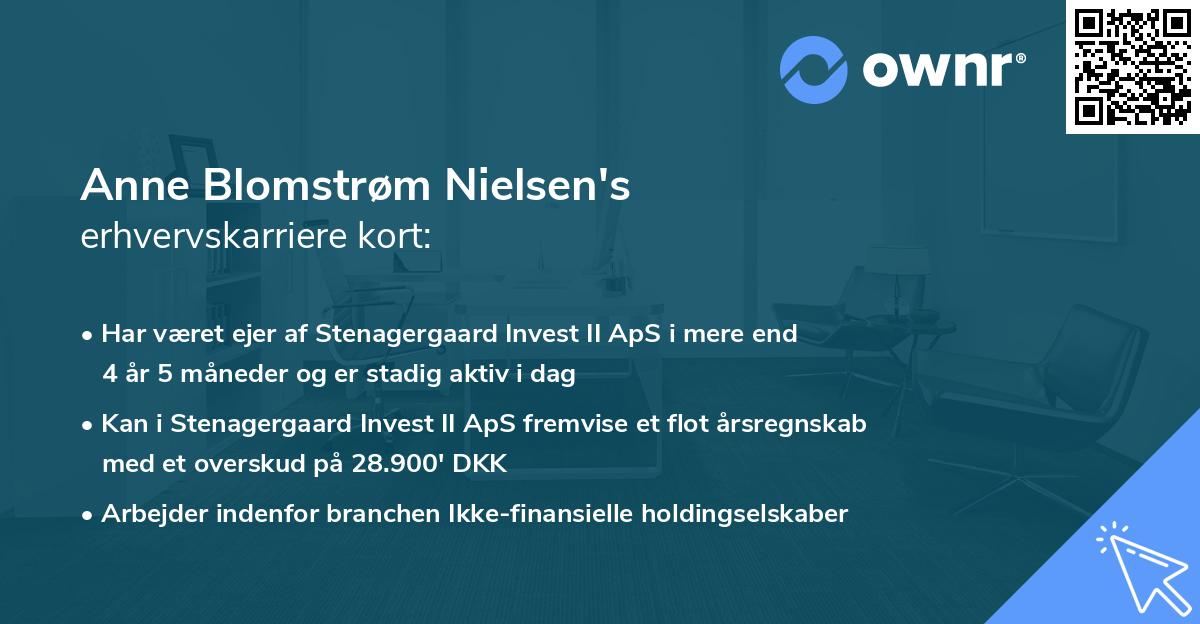Anne Blomstrøm Nielsen's erhvervskarriere kort