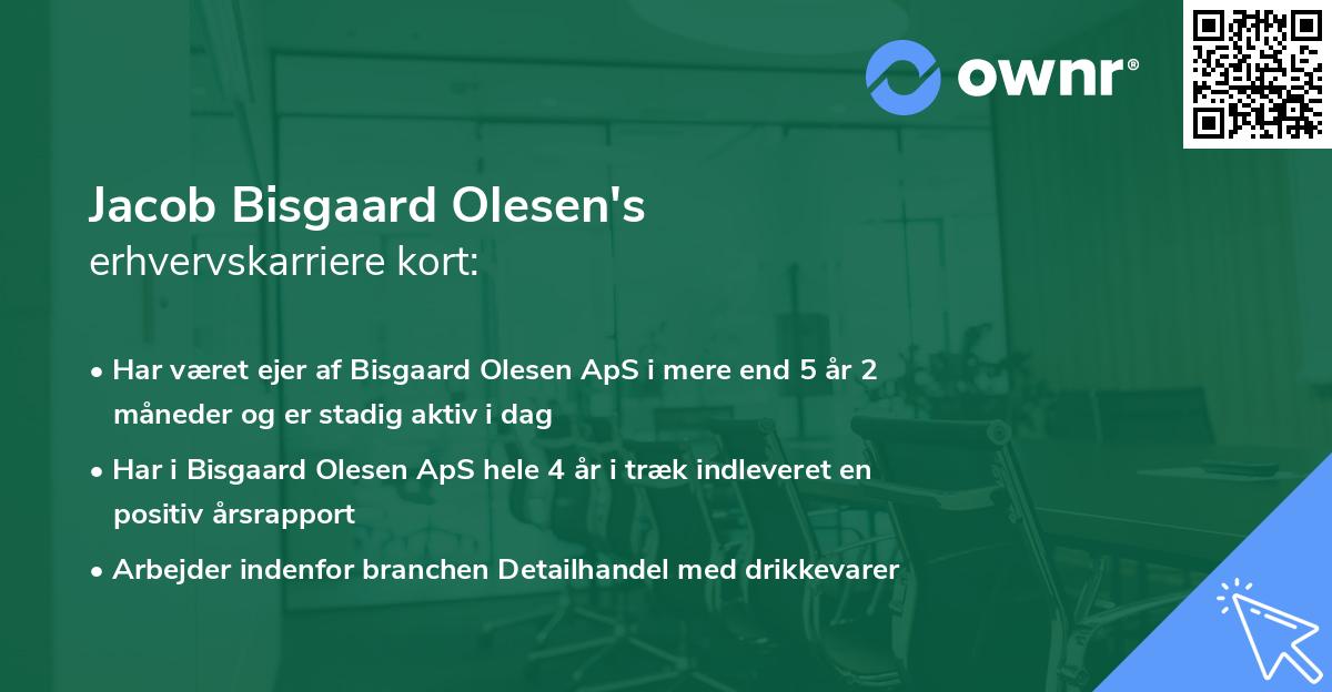 Jacob Bisgaard Olesen's erhvervskarriere kort