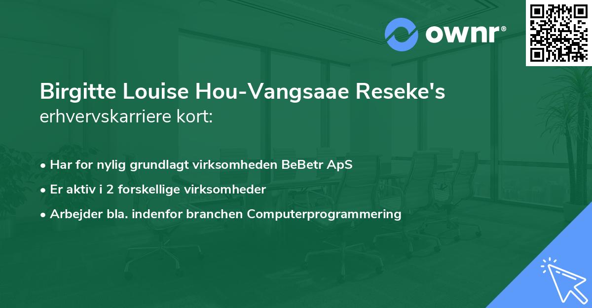 Birgitte Louise Hou-Vangsaae Reseke's erhvervskarriere kort