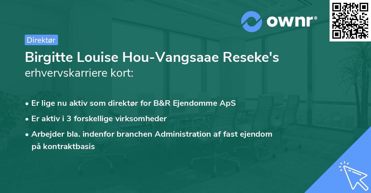Birgitte Louise Hou-Vangsaae Reseke's erhvervskarriere kort