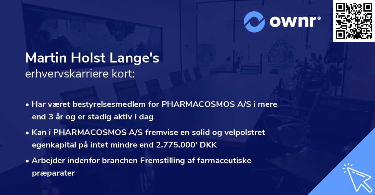 Martin Holst Lange's erhvervskarriere kort