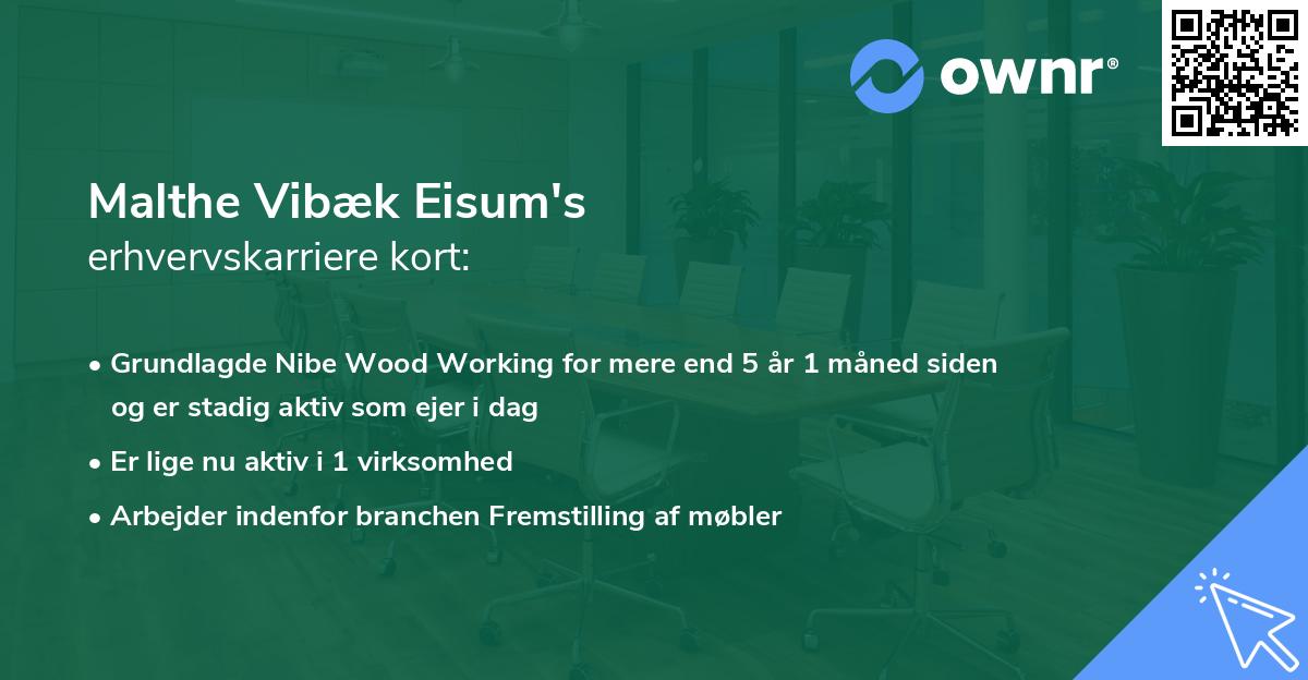 Malthe Vibæk Eisum's erhvervskarriere kort