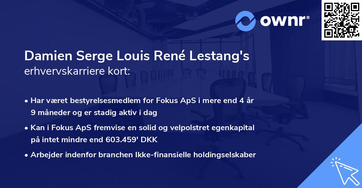 Damien Serge Louis René Lestang's erhvervskarriere kort