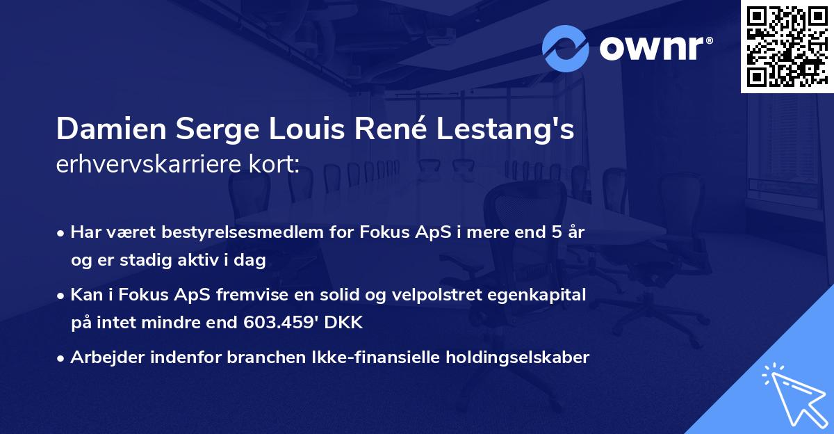 Damien Serge Louis René Lestang's erhvervskarriere kort