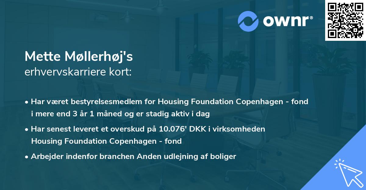 Mette Møllerhøj's erhvervskarriere kort