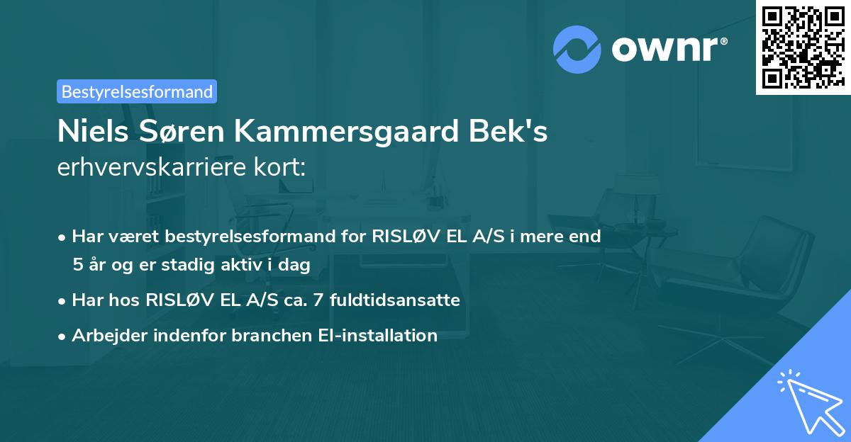 Niels Søren Kammersgaard Bek's erhvervskarriere kort