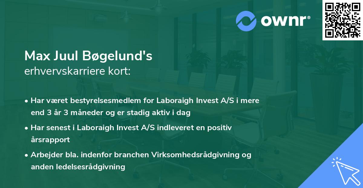 Max Juul Bøgelund's erhvervskarriere kort