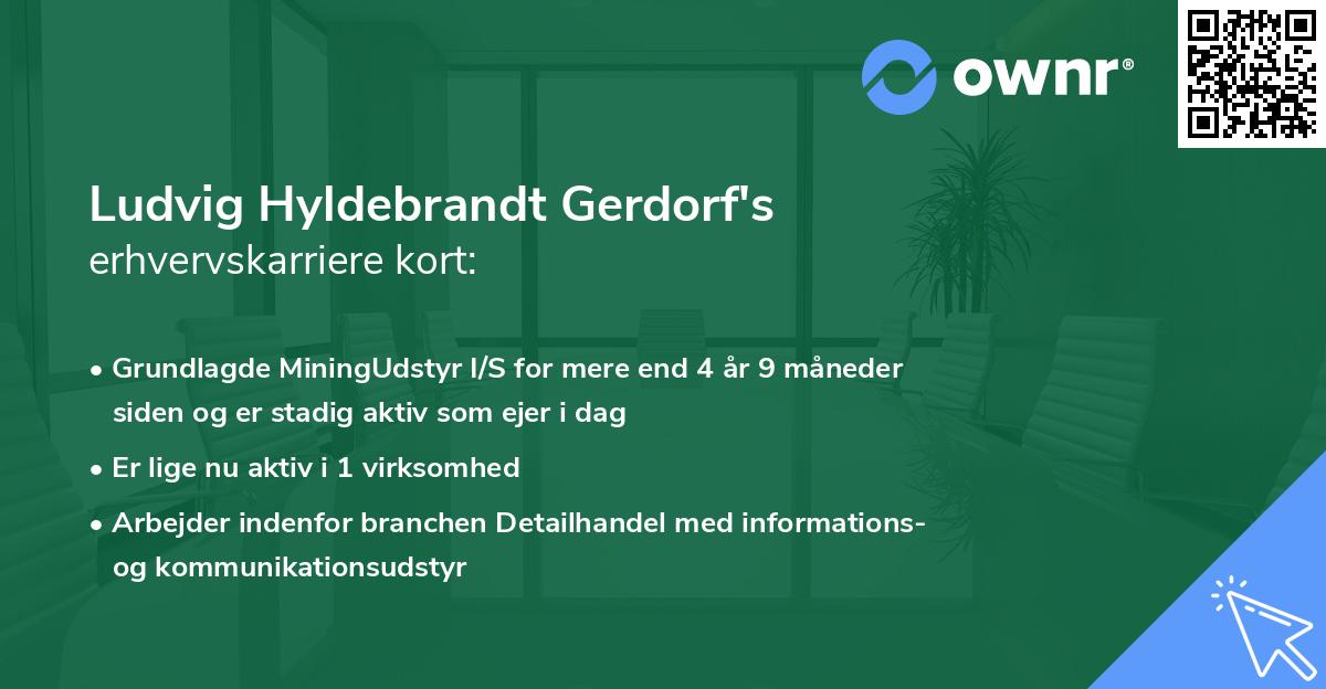 Ludvig Hyldebrandt Gerdorf's erhvervskarriere kort
