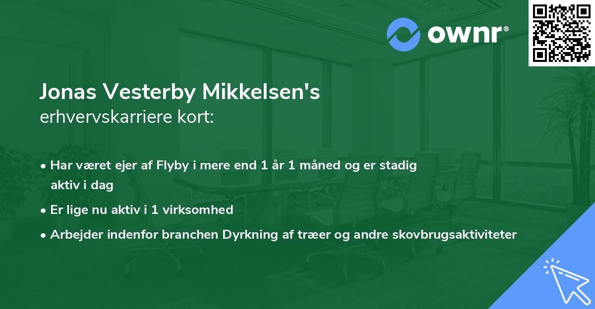 Jonas Vesterby Mikkelsen's erhvervskarriere kort