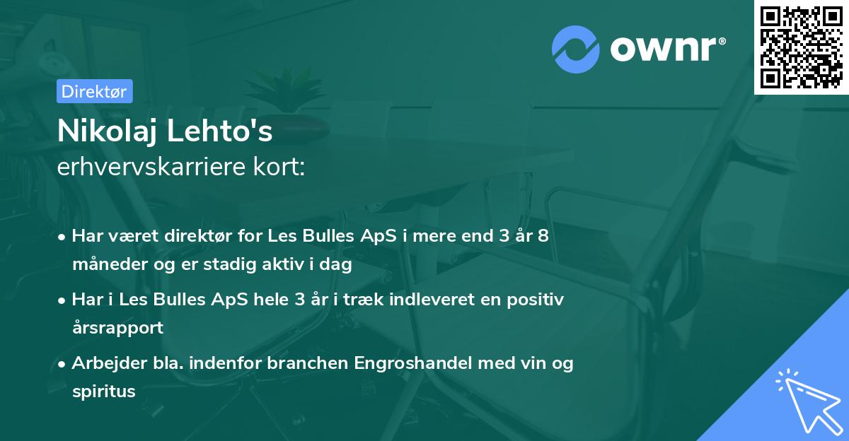 Nikolaj Lehto's erhvervskarriere kort