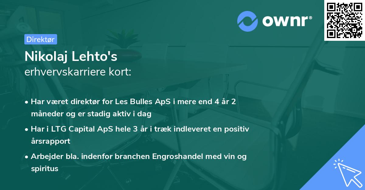 Nikolaj Lehto's erhvervskarriere kort